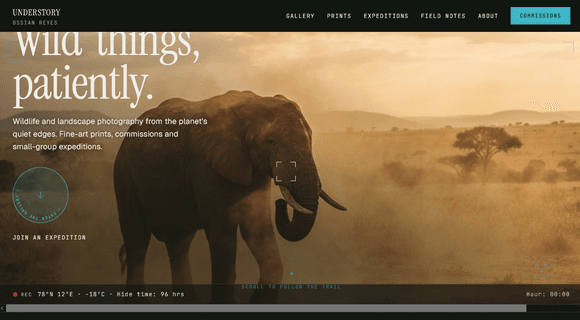 Nature & wildlife photographer portfolio